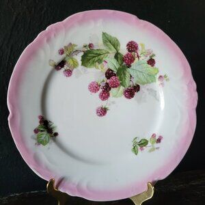 Vintage Hand-Painted Pink Porcelain Plate With Blackberry Design, Plate Wall